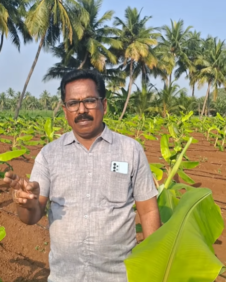 Sri Chennimalai Aandavar Agro Agency - Field Agronomist & Advisory
