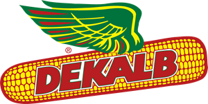 Dekalb Hybrid Maize Seeds