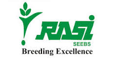 Rasi Paddy Seeds