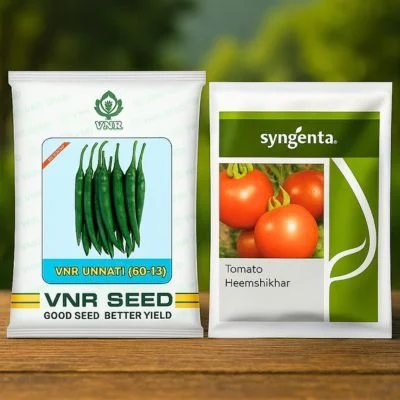 Hybrid Vegetable Seeds