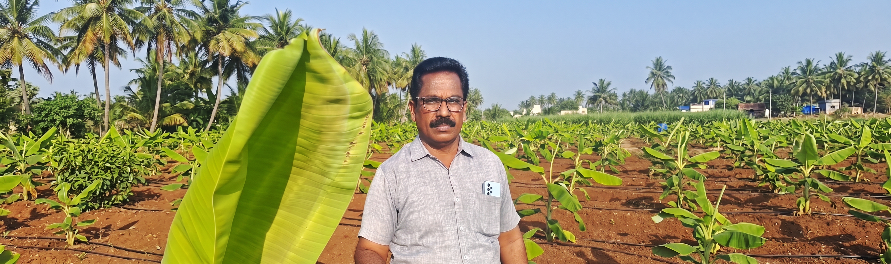 Chennimalai Andavar Agro Agency - On-Field Crop Inspection and Leaf Health Diagnosis